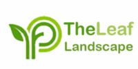 The Leaf Landscape