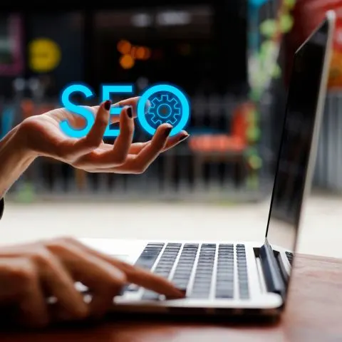 Top Search Engine Optimization Service