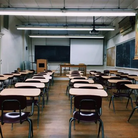 Why You Need a School Management Website Design for Your Business